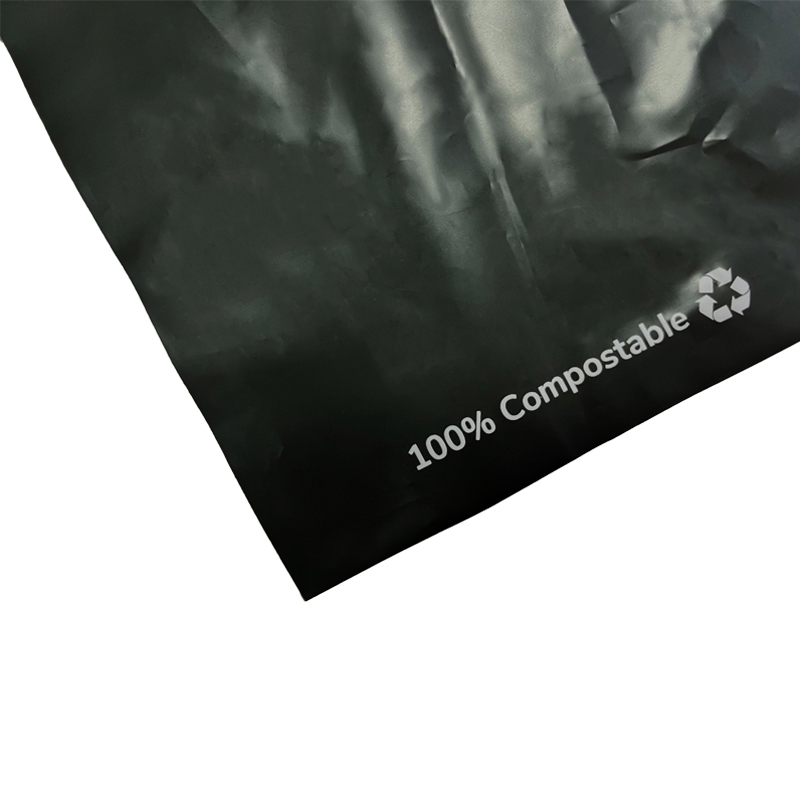 Biodegradable Express Plastic Bag