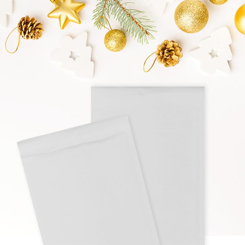 Biodegradable Kraft Paper Bags