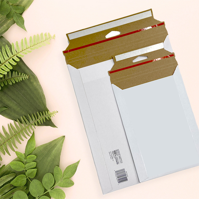 Biodegradable Document Envelopes